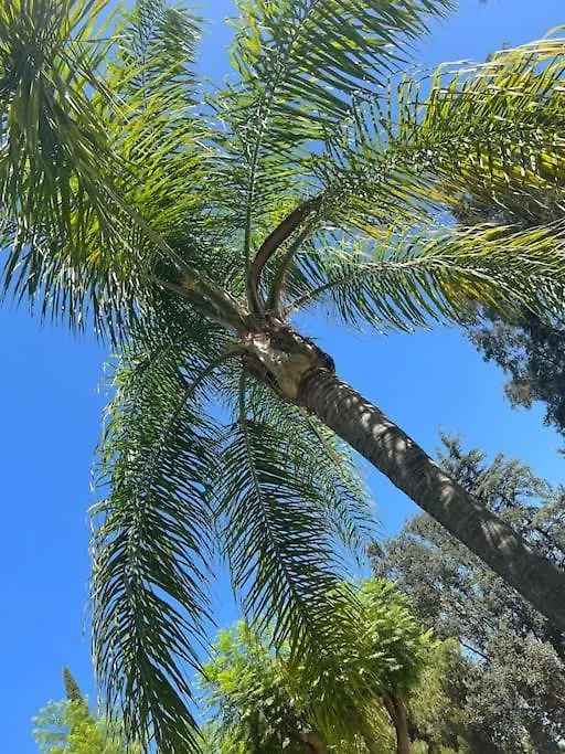 Вилла Hoyo 16, Mijas Golf In Private Complex Фуэнхирола Дом отдыха